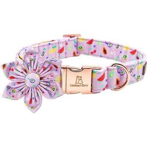 Lionheart Glory Adjustable Purple Summer Fruit with Flower Dog Collar Size Large